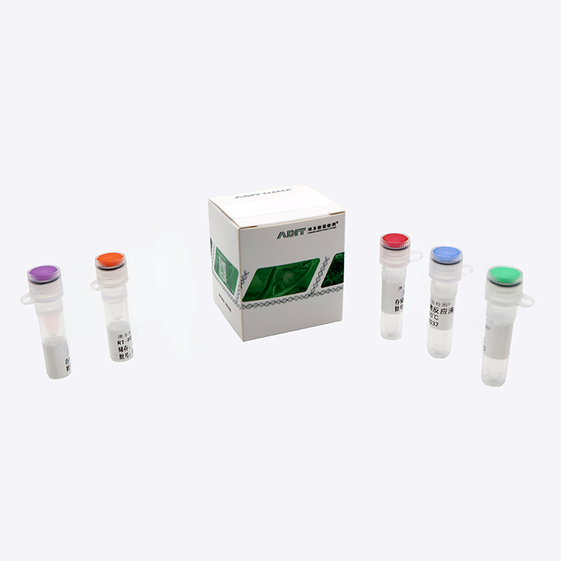 植物病害檢測系列